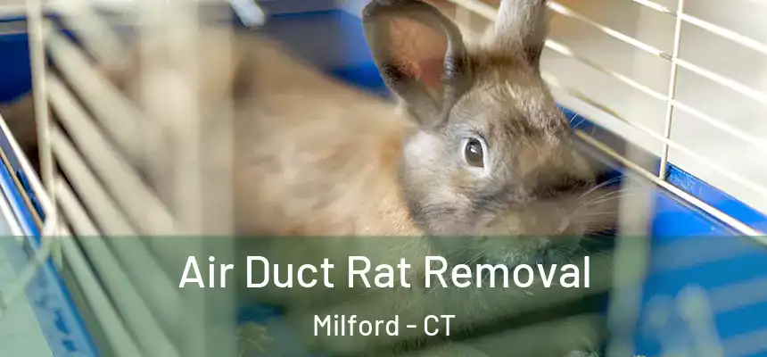  Air Duct Rat Removal Milford - CT