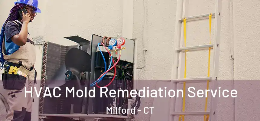  HVAC Mold Remediation Service Milford - CT