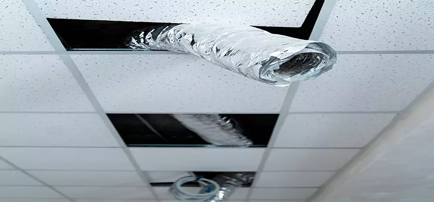 Affordable HVAC Sanitizing After Pest Removal in Milford