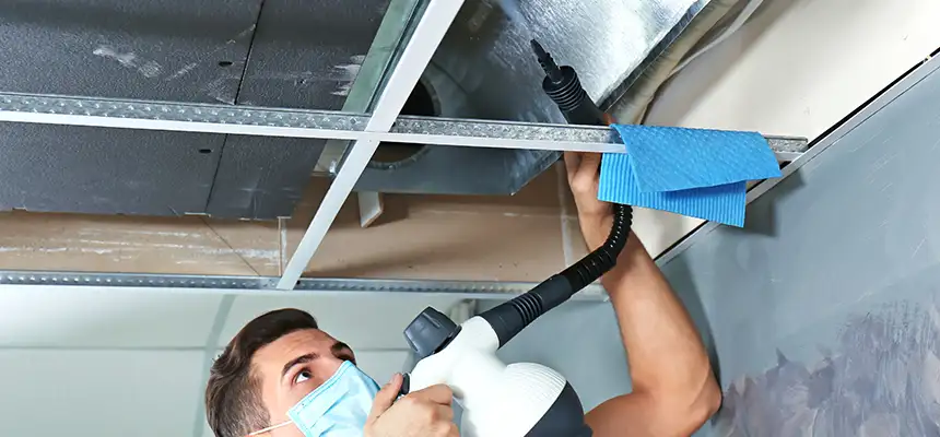 Our Air Duct Rodent Removal Services in Milford, CT