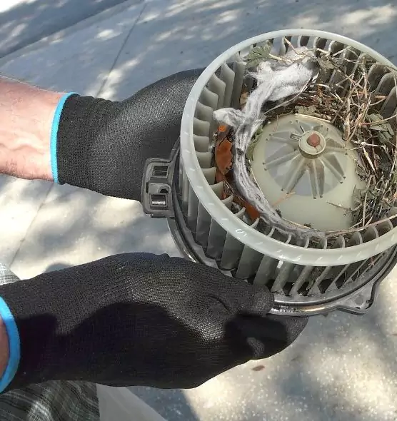 About Air Duct Mice Removal in Milford, CT